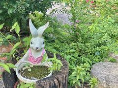 -谷咖啡·鲜花绿植花园餐厅