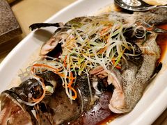 油泼深海清斑鱼-新希望诺富特酒店-青岛湾中餐厅