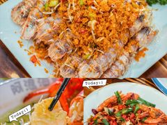-亚龙湾热带天堂森林公园