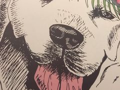-拾光·小碗甜品