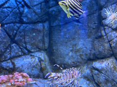 -成都浩海立方海洋公园