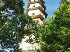 -江心屿景区