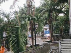 -鼓浪屿钢琴博物馆