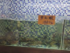 -顺德了能馆(虎门店)