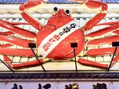 -蟹道乐(道顿堀本店)