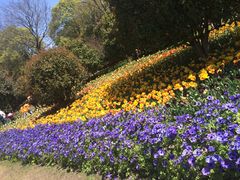 -上海鲜花港