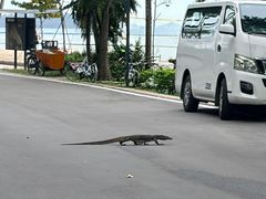 -圣淘沙名胜世界
