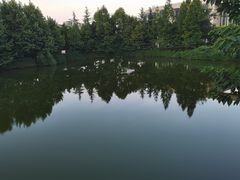 -重庆医科大学附属第一医院(金山院区)