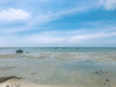-北海金海湾红树林生态旅游区