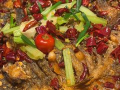 -老板恋上鱼(印象城店)