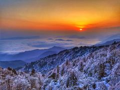 -瓦屋山景区