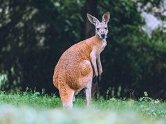 -乐和乐都主题乐园