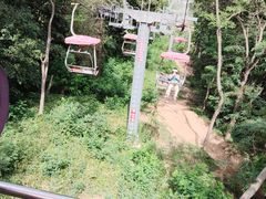 -青岛中山公园-索道售票处