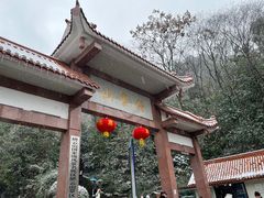-缙云山景区