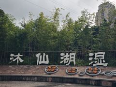 -沐仙湖湿地公园