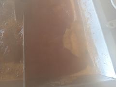 -皇城老妈·大连海鲜火锅(港湾店)