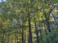 -北京植物园南门售票处