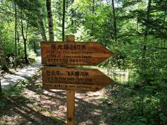 -汤旺河林海奇石景区