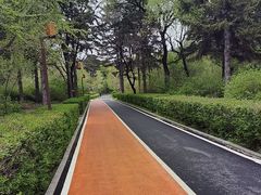 -长春市南湖公园