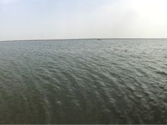 -碧海金沙