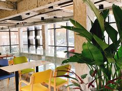 大堂-腾爱熊猫咖啡生活馆(老东门店)