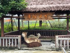 -美的鹭湖探索王国