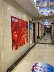 -碧莲盛·不剃发植发