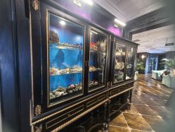 点击看大图 -鼎极摄影(蓝色港湾店)