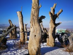 -丝绸之路山地度假区滑雪场