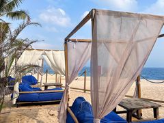 -精酿农场Brew Farm·沙漠绿洲餐厅