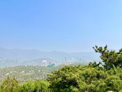 -白水寺森林公园