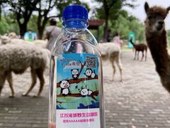 -常州淹城野生动物世界