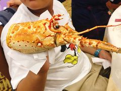 -天津津利华酒店