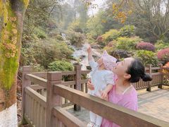 -铁山坪森林公园