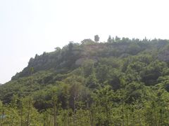 -原山国家森林公园