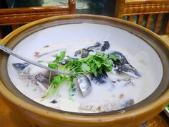 -全乐鱼馆·淳牌有机鱼直营店