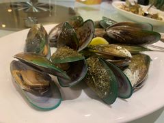 新西兰青口-益利大酒楼(井岸店)