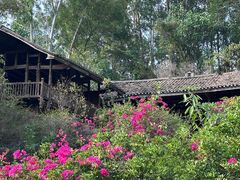 -深圳国际园林花卉博览园