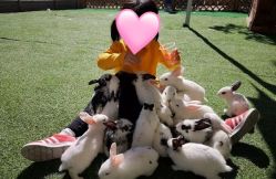 -萌宠亲子动物乐园(槐房万达店)