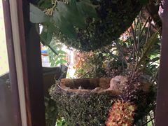 -第101座花园餐厅(湖滨88店)