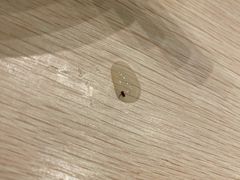 -协茂森老钟家(龙湖滨江天街店)