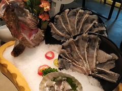 石斑鱼-享月汤皇·海鲜小火锅·聚会(曲江创意谷店)