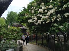 -常熟方塔园