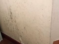 -上海中医药大学附属曙光医院(东部)