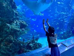 -海合安成都极地海洋公园