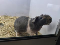 -昆明大悦城未来动物城(螺蛳湾中心店)