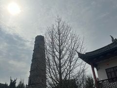 -上海青龙寺