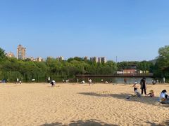 -青枫公园