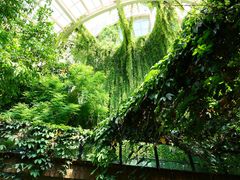 -昆明植物园