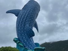 -珠海长隆海洋王国